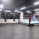 담쓰뮤직복싱 이미지