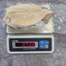 8월25일.참소라,살고동,참치오마카세,뿔소라,멍게무침,성게알,가리맛조개,대나발소라,꼼장어,민물장어,피데기,해신탕 이미지
