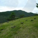 정동진1리 이미지