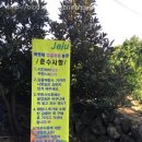 아연네감귤체험농장 이미지