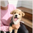 아이조아요양보호소 대구점 이미지