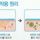 모현프라자약국 이미지