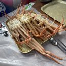 지에스25지리산천왕봉점 이미지