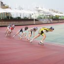 인라인롤러장 이미지