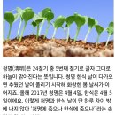 청명 이미지