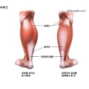 BODY愛(바디애) 이미지