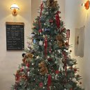 비바라떼 | 대구중구브런치카페 비바돌체 두번째 방문