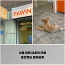 서울 마포 대흥역 카페,유기견 입양 후원하는 포인핸드 경의숲점