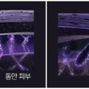 안티파이어 네이버블로그