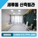 세류동 현대아파트앞 이미지