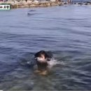 청하분식 이미지