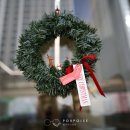 폴포이스안경 이미지