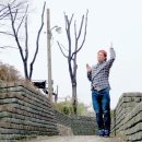 개일 이미지