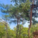 온누리누룽지백숙 하남점 이미지