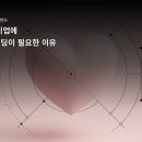 스토리에이피 이미지