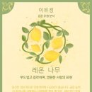 모해 이미지