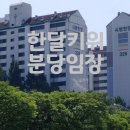 한달키위 분당 임장후기_2편(서현동 시범단지 한양)