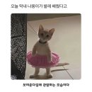 마음드리 이미지