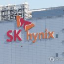 (주)더블다운인터액티브 | SK 하이닉스 ADR 상장: 구글 칩이 불러온 삼성전자, SK하이닉스 과민 반응