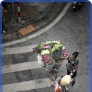 하꾸주코리아 이미지