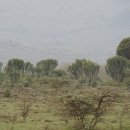 이야기가는풍경 이미지