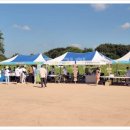 대한환경 | 대구지역행사업체 생명사랑환경축제 맹꽁이야놀자 생생한 현장후기