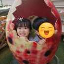 수향농장 이미지