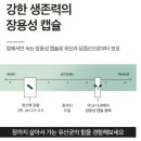 내돈내산 변비인의 &#34;종근당건강 락토핏 솔루션1 둔감한장&#34; 후기