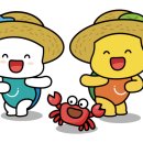 시니어영농사업단