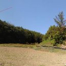 영주땅공인중개사사무소 이미지