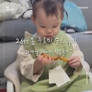 구르미 | 미니모먼츠 봄봄 구르미슈트 26ss 구매후기