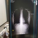 (주)삼우이노베이션 | 신설동정형외과 예방접종추천 신설동도수치료후기 복지의원