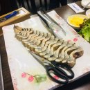 일루장어 이미지