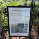 매산초등학교 - 수원시 팔달구 | 가보고 싶었던 일월수목원 밤빛정원 다녀온 후기