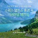마이팩투어