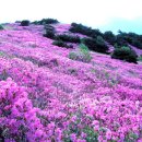 화명1동-5 이미지