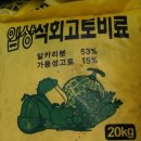 고토 이미지