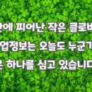 태양직업소개소 네이버블로그