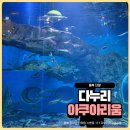 단양군청소년수련관(1~2층) | 단양 다누리아쿠아리움 후기 아이와 가볼만한 곳 국내 최대 민물고기 아쿠아리움 솔직체험