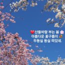 시화종합