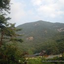 삼화사 Daum카페