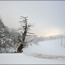 ◈제42차.정기산행 안내.덕유산(2013.1.23.수요일)◈ 이미지