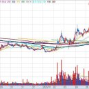 정산약품(주) 이미지