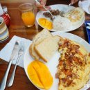 도그비앤비 이미지