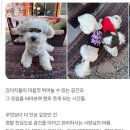 캐나다 멍 빌리지 이미지