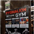 피그말리온짐 프리미엄 이미지