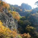 한국전력공사 해운대지점앞 이미지