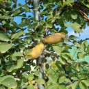 김제아리랑농원 이미지