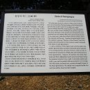 나루물산 이미지