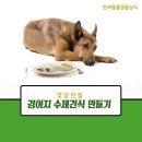 ★ 영양만점 강아지 수제간식 만들기 이미지